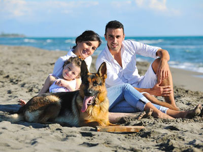 Pet Friendly Holidays